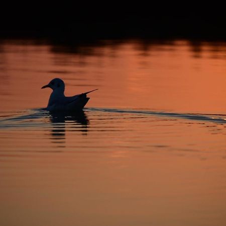 Agriturismo Venice Photobirding Tessera Εξωτερικό φωτογραφία