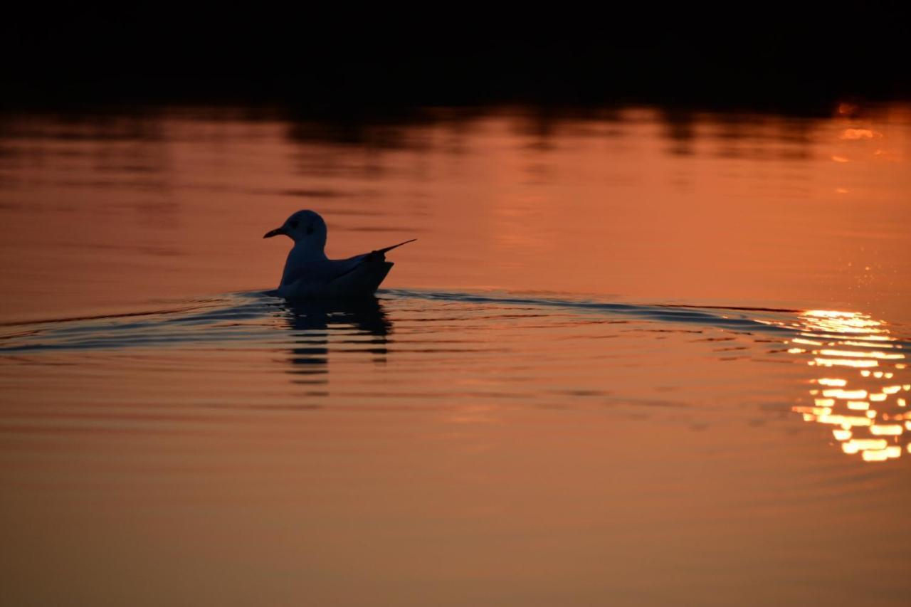 Agriturismo Venice Photobirding Tessera Εξωτερικό φωτογραφία