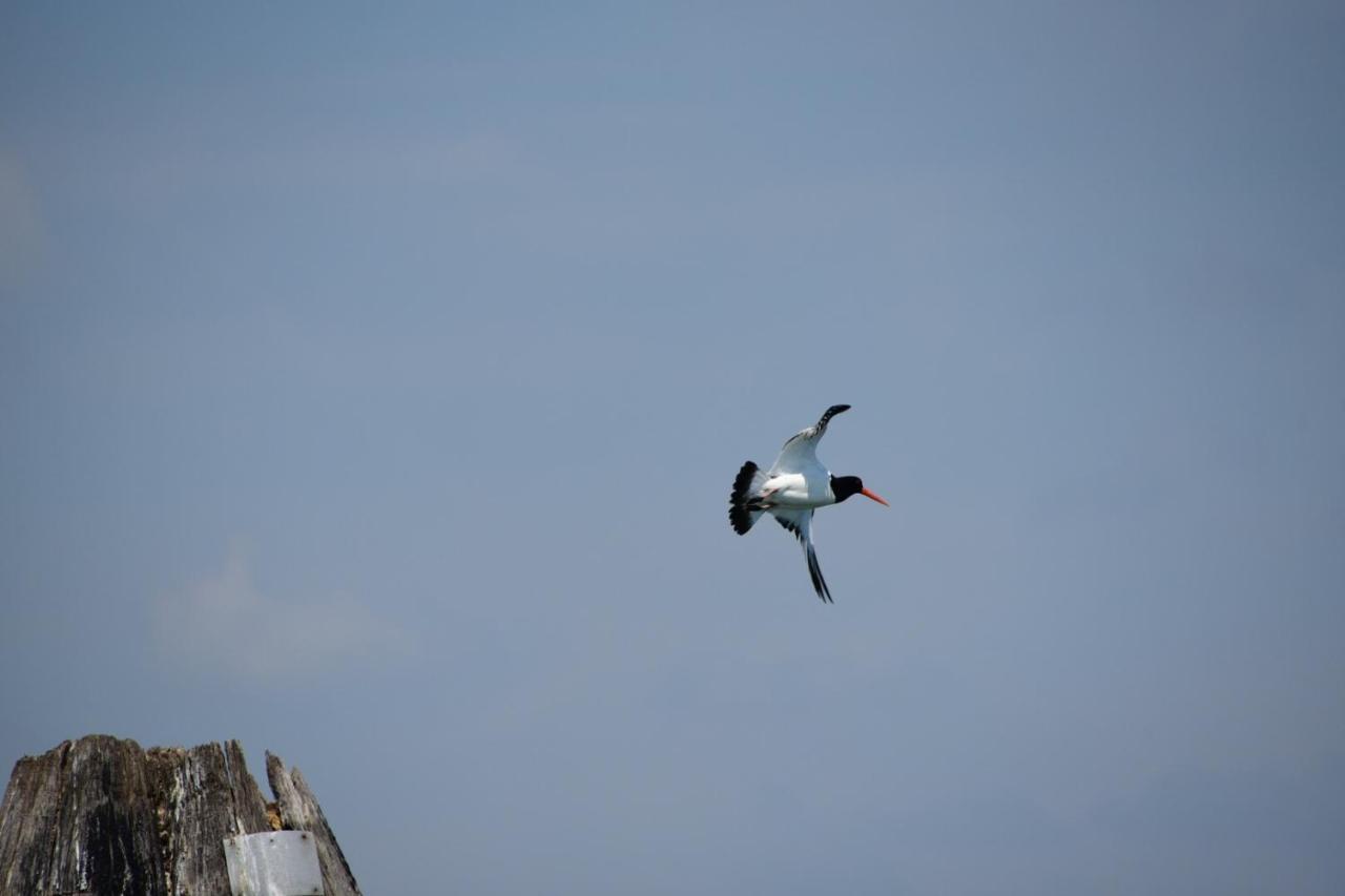 Agriturismo Venice Photobirding Tessera Εξωτερικό φωτογραφία